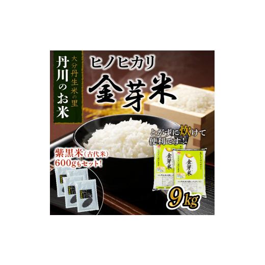 ふるさと納税 大分県 大分市 ヒノヒカリ金芽米9kgと紫黒米（古代米）600g