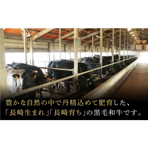 ふるさと納税 長崎県 小値賀町  長崎和牛 A5ランク 特選ロース 極厚 焼肉 700g《小値賀町》 [DBJ014] 肉 和牛 黒毛和牛 A5 ロー…