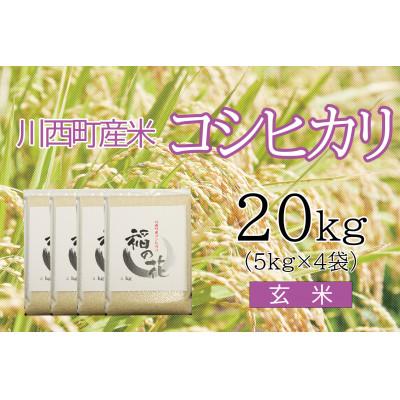 ふるさと納税 川西町 コシヒカリ20kg　玄米　真空パック詰