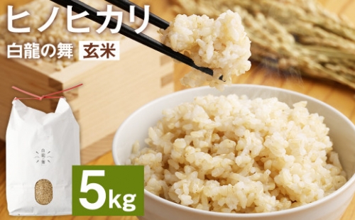 熊本県産 ヒノヒカリ 白龍の舞 玄米 5kg