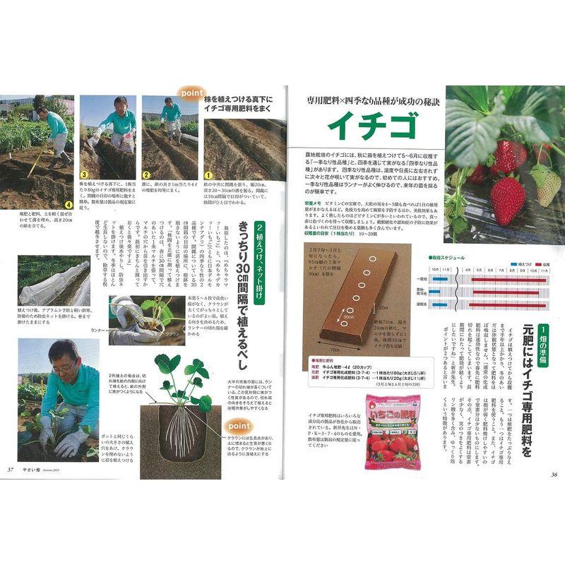 やさい畑 秋号 2019年 10月号