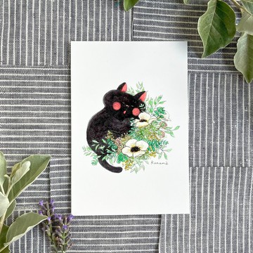 明信片 - 黑貓