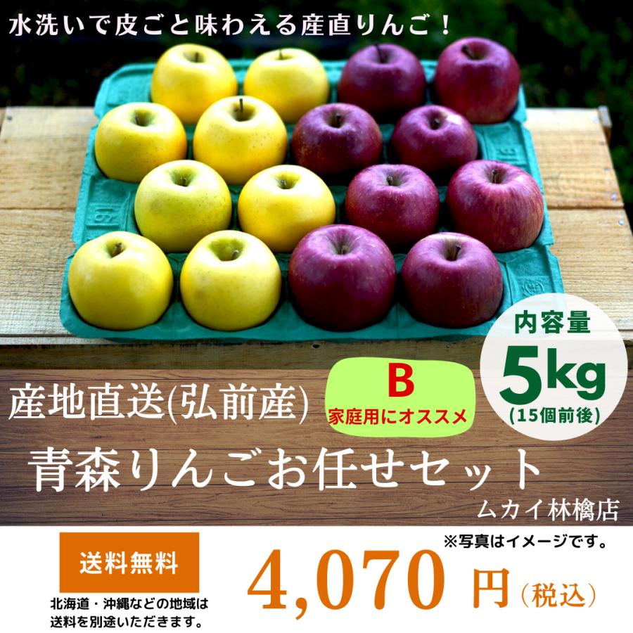 ◆産地直送(弘前産)「青森りんごお任せセット」5kg  B