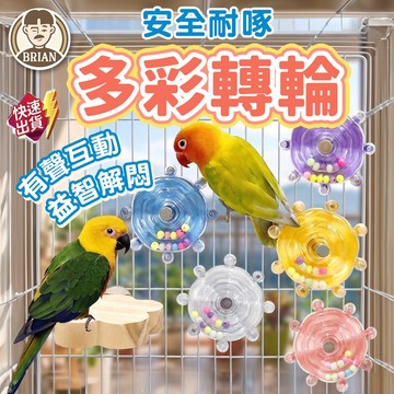 多彩轉輪【布萊恩👨🏻隔日到貨】鸚鵡轉輪玩具 鳥玩具 鳥類站台 鸚鵡站台 鸚鵡玩具 鳥類益智玩具