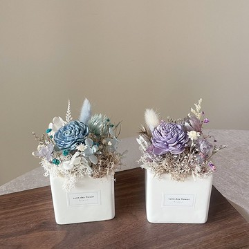 【擴香盆花】辦公室小物 生日禮物 客製化 香氛 擴香花 多色選擇