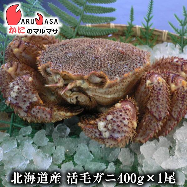 活毛がに 400g 1尾 北海道産 極上毛ガニ お歳暮 ギフト お土産 通販