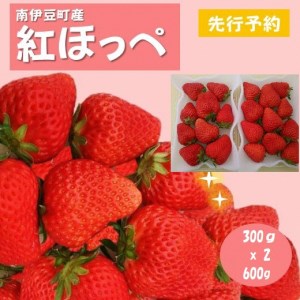 完熟いちご300g 2パック（DXパック）紅ほっぺ、よつぼし、恋みのり　から厳選