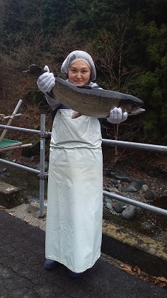 「富士の介」丸ごと一本セット