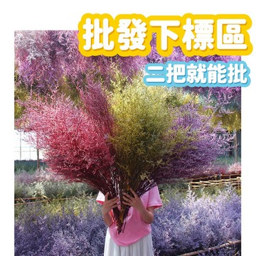 現貨🔺乾燥花批發 二把就能批發價 卡斯比亞 情人草 永生花 花束 花材 浮游花 乾燥花