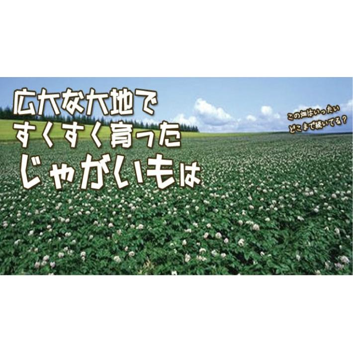 じゃがいも 北海道産 インカのめざめ 1ｋｇ (10玉から１５玉前後) 送料無料