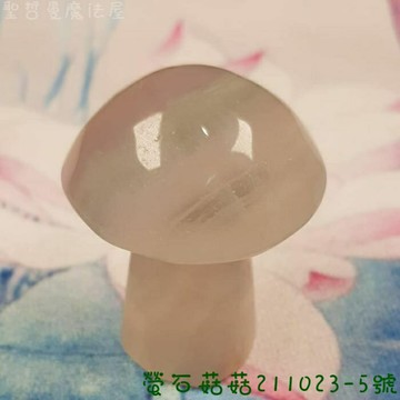 螢石菇菇211023-5號 雕件/擺件 ~智慧之石、平衡與精進心智、電磁波防護 ??聖哲曼??