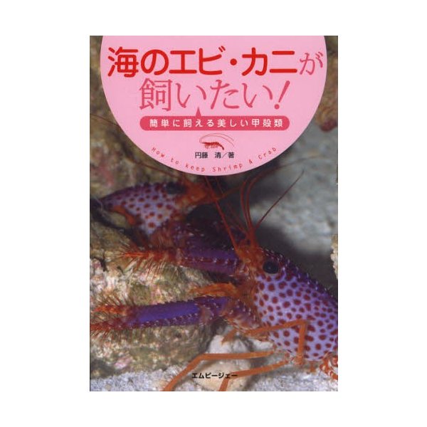 海のエビ・カニが飼いたい 簡単に飼える美しい甲殻類