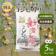 令和5年・新潟県産|JAS有機栽培アイガモ農法コシヒカリ100% 玄米5kg