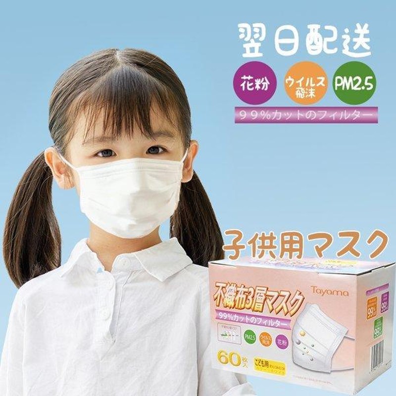2個で1000円ポッキリ 子供用 マスク 不織布 60枚入 10枚ずつ個包装 息 ...