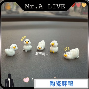 🔥隔日達🔥【Mr.A Live】微景觀桌麵擺件 車載擺件裝飾 小造景 桌面公仔擺設 創意擺件飾品 樹脂工藝品 造型胖鴨