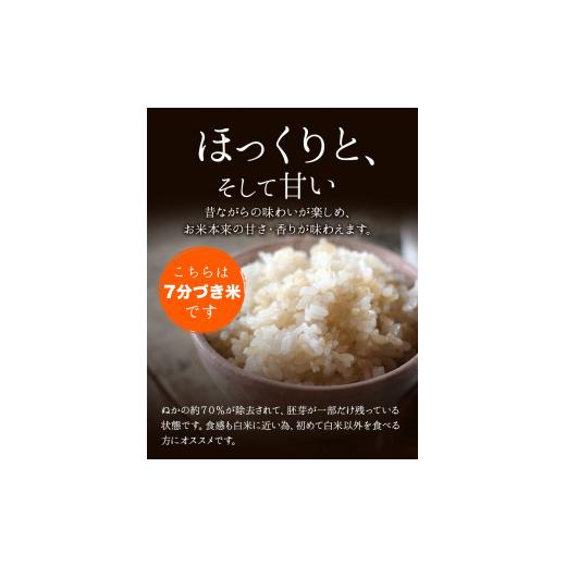 ふるさと納税 福岡県 小竹町 令和5年産 小さな竹美人 7分づき 米 4kg(2kg×2袋) 株式会社コモリファーム《お申込み月の翌月…