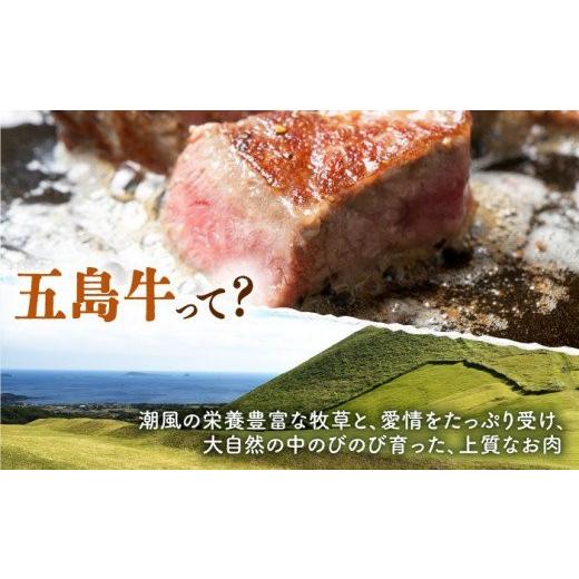 ふるさと納税 長崎県 五島市 五島牛 薄切りセット ロース モモ 700g すき焼き 五島市／ごとう農業協同組合 [PAF002]