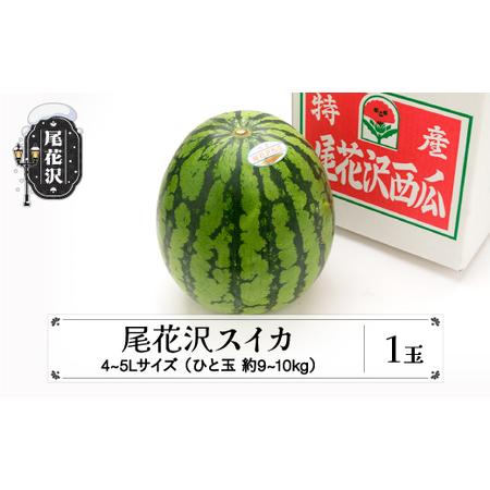 ふるさと納税 先行予約 尾花沢スイカ 4?5Lサイズ(約9?10kg)×1玉 7月下旬〜8月中旬頃発送 令和6年産 2024年産 農産センター すいか 西瓜 n.. 山形県尾花沢市