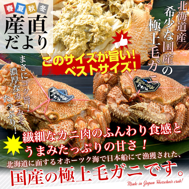 北海道より直送 北海道産 「浜ゆで 毛ガニ」450g前後×2尾入 送料無料　かに カニ 毛ガニ 毛がに 毛蟹 ギフト