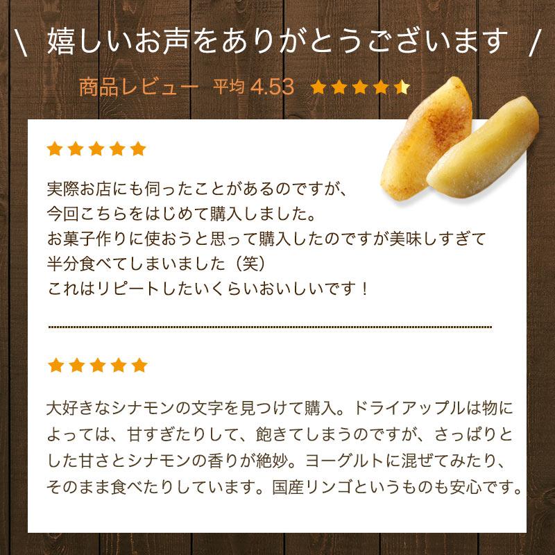 ドライフルーツ りんご ドライアップル 国産 長野県産 シナモン 林檎 250g 香りと食感のよい ドライりんご