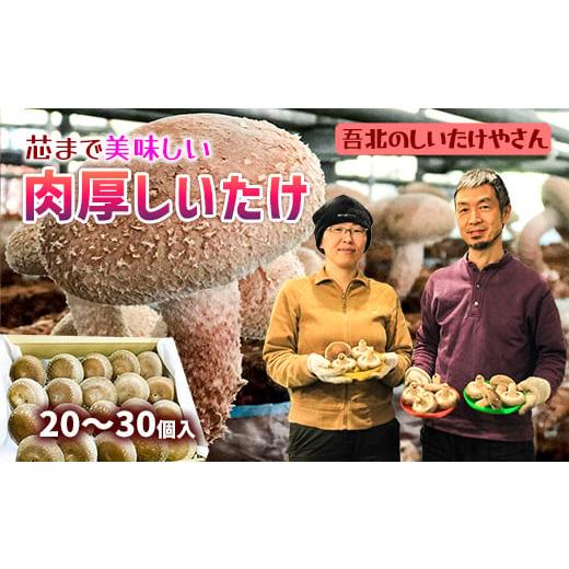 ふるさと納税 高知県 いの町 芯まで美味しい肉厚しいたけ