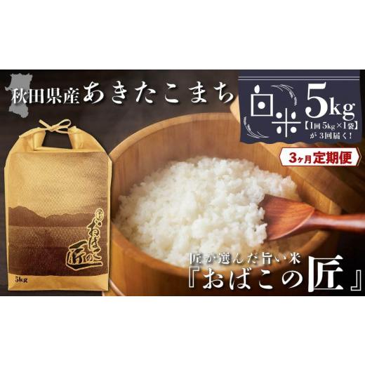 ふるさと納税 秋田県 大仙市 秋田県産おばこの匠あきたこまち　5kg （5kg×1袋）白米