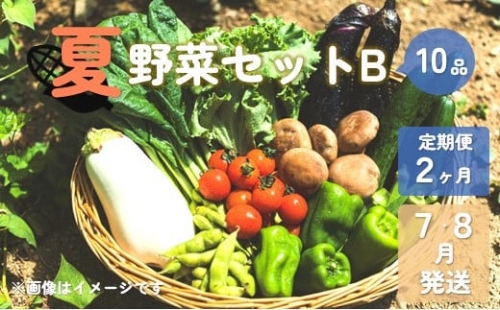 夏野菜セットB (10品) 7・8月発送