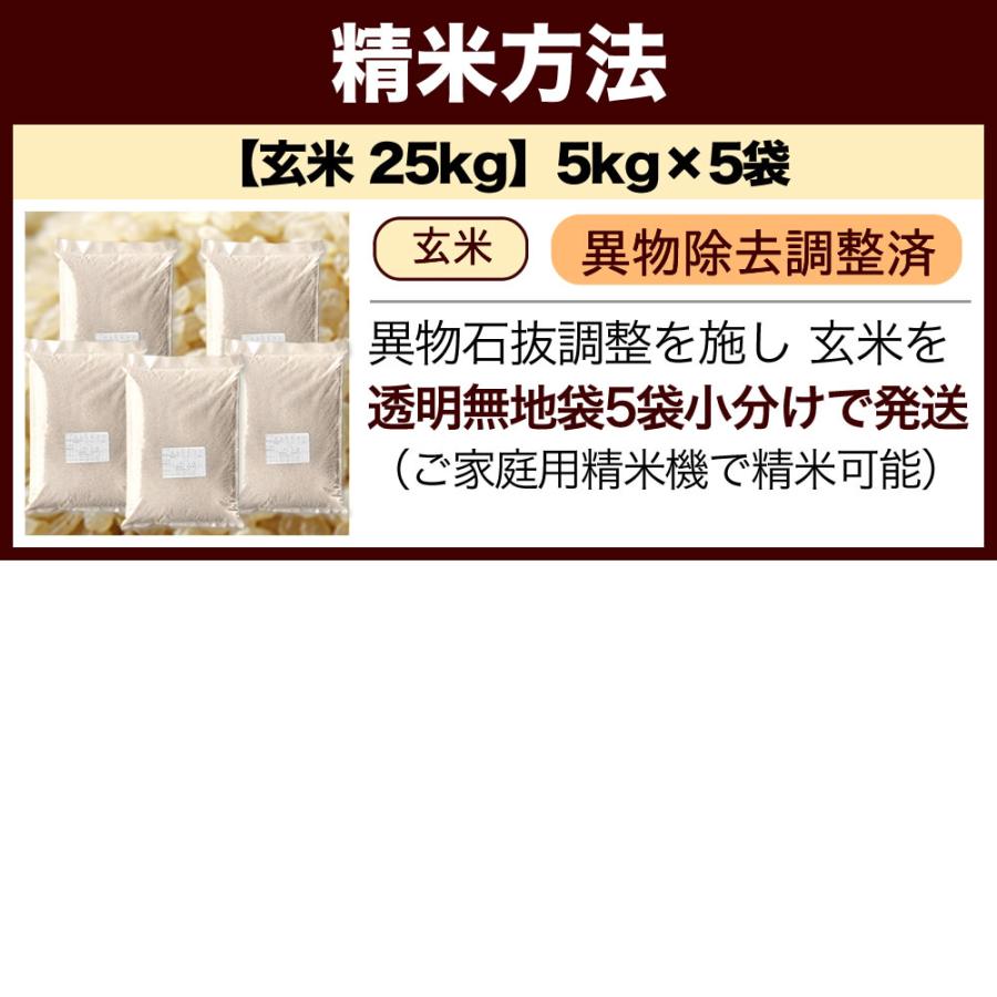 新米 令和5年産 玄米 25kg 長岡産コシヒカリ 新潟産 送料無料 （北海道、九州、沖縄除く）2等米