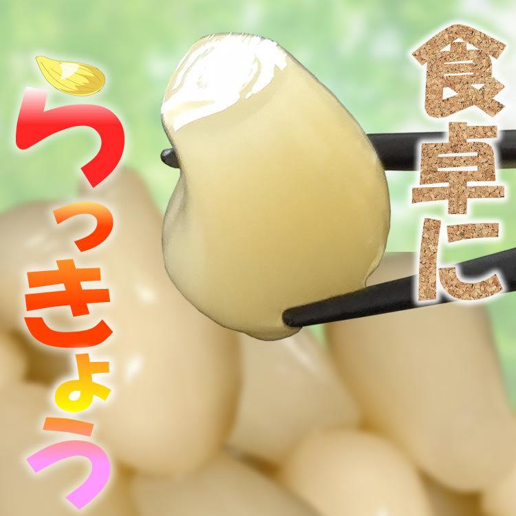 塩らっきょう150ｇ　ふくちゃんらっきょう×10袋