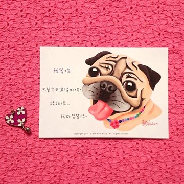 我等你 巴哥明信片