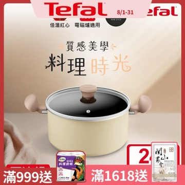 Tefal法國特福 Daisy系列24CM不沾雙耳湯鍋-加蓋(電磁爐適用)