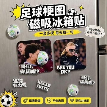哈蘭德壓克力冰箱貼 抽象表情包 世界盃 英超周邊 抽象冰箱貼 搞笑磁吸冰箱貼 創意冰箱貼 居家裝飾 冰箱裝飾 交換禮物