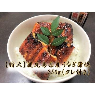 ふるさと納税 南九州市 「特大」鹿児島県産うなぎ蒲焼き250g(タレ付き)