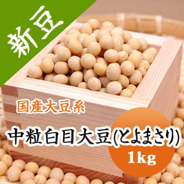 豆 大豆 中粒白目大豆 とよまさり 北海道産 味噌 令和４年産 1kg