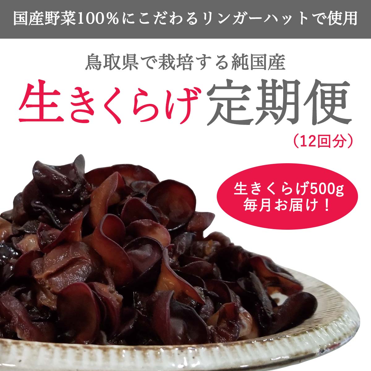 純国産生きくらげ12ヶ月定期コース