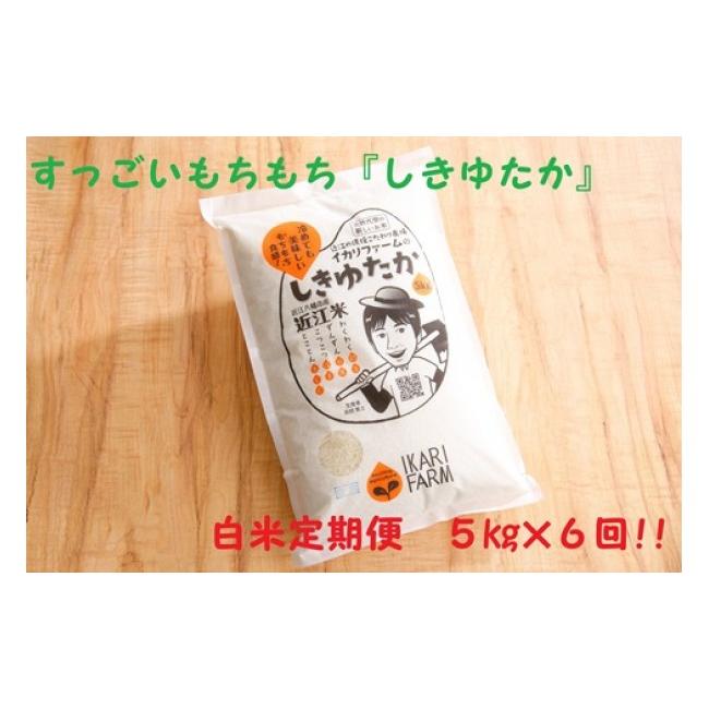 ふるさと納税 滋賀県 近江八幡市 すっごいもちもち「しきゆたか」白米定期便　６カ月で５kgを６回お届け（１カ月に1回）