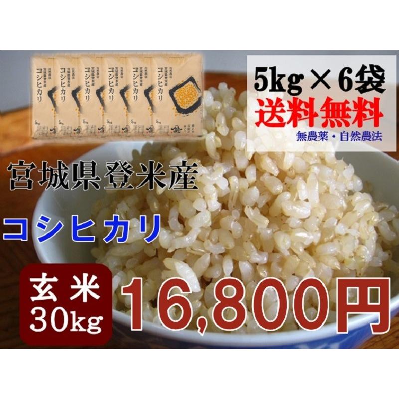 米 お米 令和5年産  コシヒカリ 30kg (5kg×6袋) 玄米 送料無料  宮城 登米 米 特別栽培米 農薬・化学肥料不使用