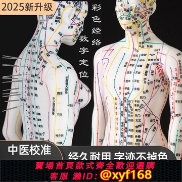 {可打統編 保固一年}人體穴位經絡模型人中醫人模標準大圖針灸人形全身可扎針練習銅人