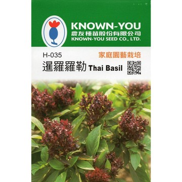 【拈花微笑】泰國羅勒｜香藥草種子｜100粒｜非基因改造種子｜蔬菜｜蔬果｜有機無毒｜高發芽率