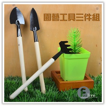 園藝工具三件組 多肉植物工具 種植工具 鏟子 鐵鍬 鐵鏟 鐵耙 鬆土工具組 贈品禮品 B3262