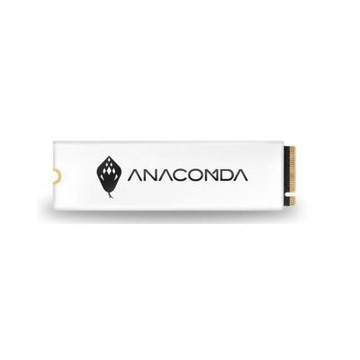 ANACOMDA 巨蟒i4S 1TB Gen4x4 M.2 2280 PCIe SSD 固態硬碟