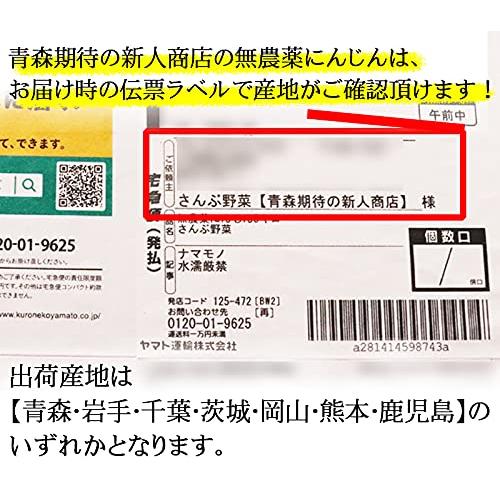 青森期待の新人商店 無農薬にんじん 5kg 国産 有機栽培 ジュース用 人参 鮮度保持袋セット