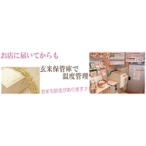 新米 令和５年度産　富山県産 特別栽培米てんたかく 玄米２ｋｇ