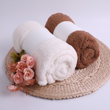 廠家直銷羊羔絨毛毯 新款秋冬加厚舒棉絨羊羔絨寵物毯子