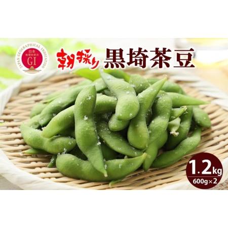 ふるさと納税  ＧＩ登録 くろさき茶豆1.2kg  2024年8月発送 新潟県