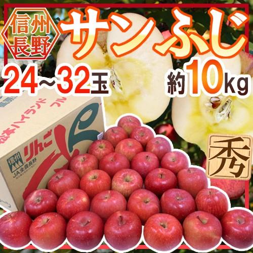 りんご 長野産 ”蜜入りサンふじ” 秀品 大玉24〜32玉 約10kg 送料無料