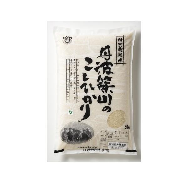 丹波篠山 令和5年度産 こしひかり 5kg 無農薬