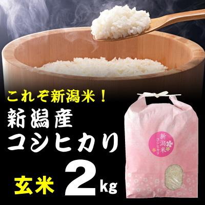 玄米 棚田米 新潟産コシヒカリ 2kg  米 お米   高級銘柄米 新潟県産 令和5年産 新米   奥胎内 棚田 山麓米 雪解けの水 送料無料