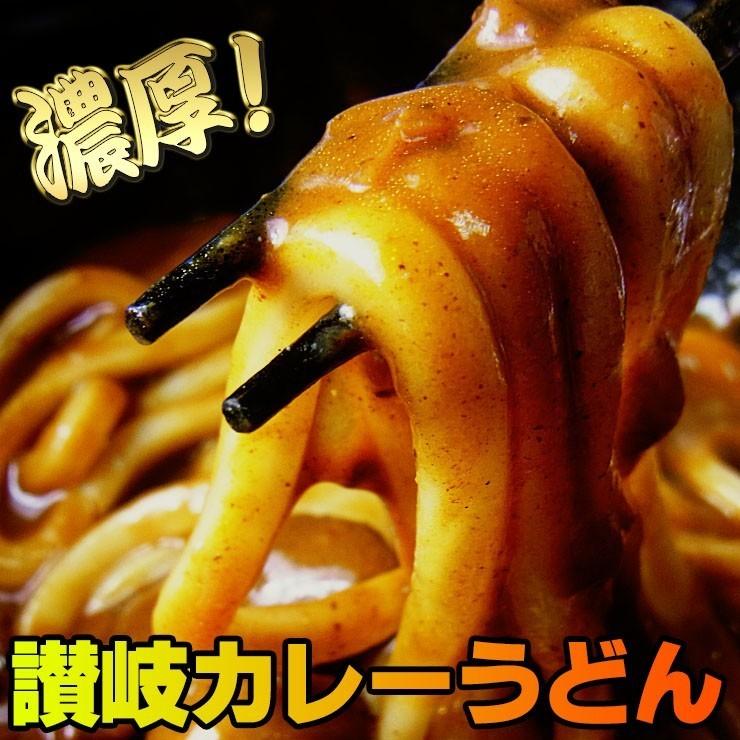 純生 讃岐 うどん ドーンと6食 便利な個包装 300g×2袋 600g 醤油 つゆ プレゼント 送料無料 最安値挑戦  得トクセール 特産品 訳あり 激旨