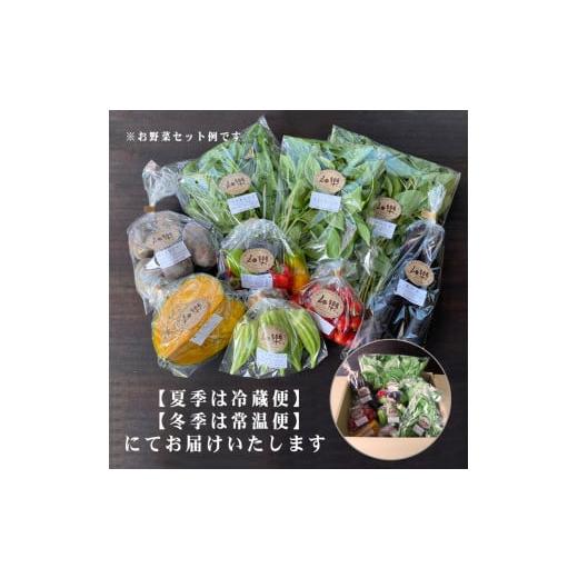 ふるさと納税 山口県 下関市 旬 の 野菜 詰め合わせ セット 品 お楽しみ 産地直送 農家直送 季節 春 夏 秋 冬 露地野菜 やさい サラダ 農薬 化学肥料 不…